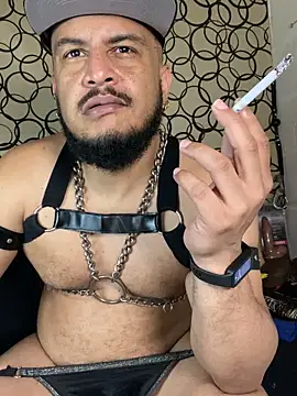 the master foal  online show from 03/07/26, 10:01