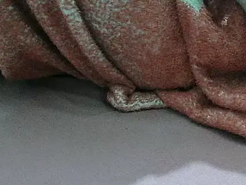 FUN4TIPS online show from 03/02/25, 05:14