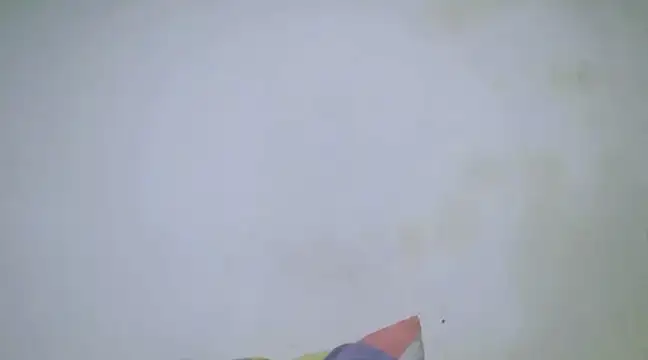 h0ney lips online show from 01/28/25, 10:23