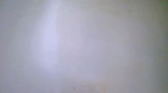 h0ney lips online show from 02/23/25, 12:30