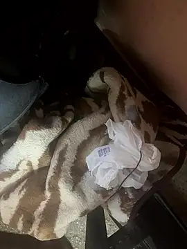 falooda288 online show from 01/17/26, 08:41