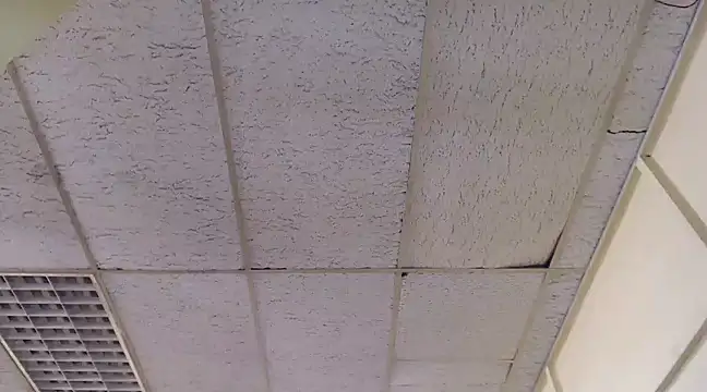 Mydreamgirrl online show from 03/06/25, 01:46