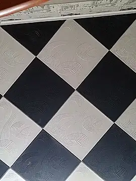 Rini333 online show from 12/17/25, 06:19