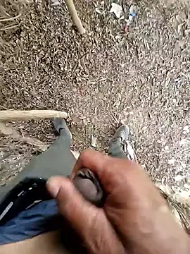 breejs online show from 10/23/25, 06:02