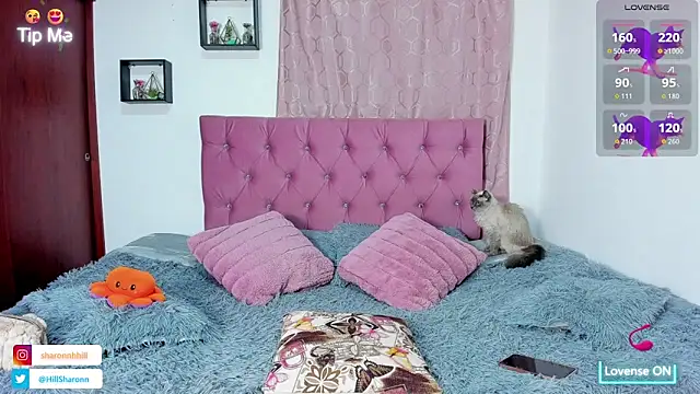 sharon hill online show from 10/03/25, 02:19