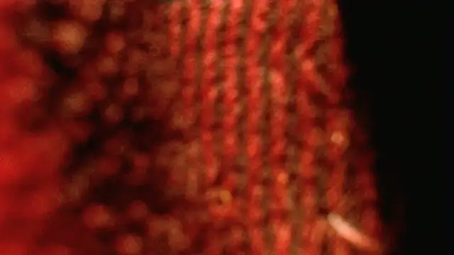 Snapshot of rockhead1971 chatting on 10/18/25, 10:49 rockhead1971 online show from 10/18/25, 10:49