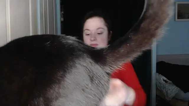 ryhhnnagold99 online show from 02/08/26, 02:53