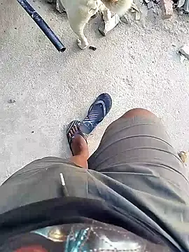 TitularAdaption online show from 02/19/26, 06:53