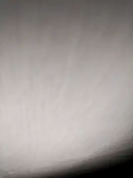 Annerae online show from 04/09/26, 03:50