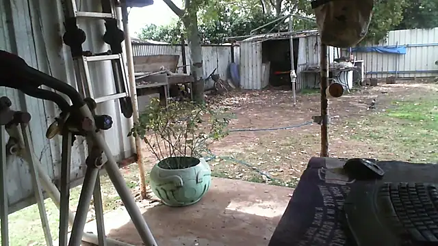 herbie010666 online show from 09/16/25, 03:29