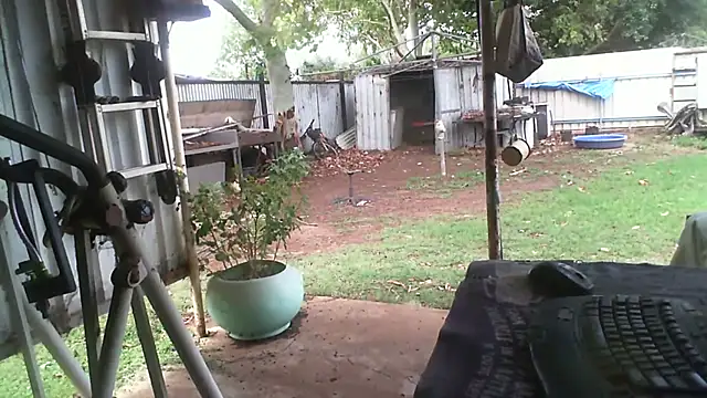 herbie010666 online show from 11/27/25, 04:25