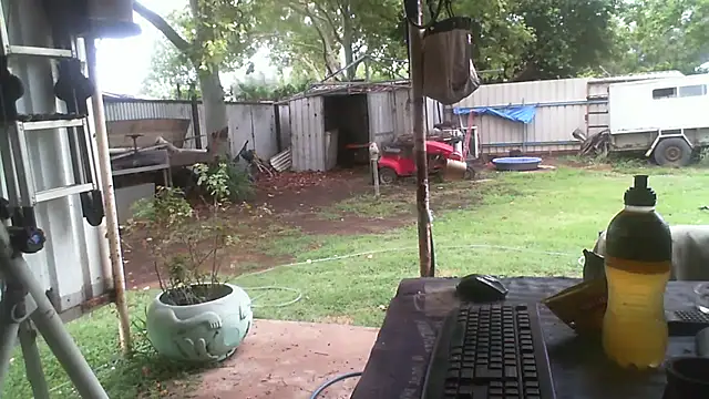 herbie010666 online show from 12/23/25, 03:15