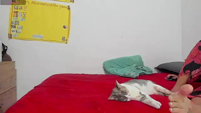 Hela wet online show from 11/24/25, 05:34