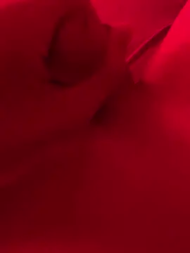 xsanchx online show from 03/21/25, 11:01