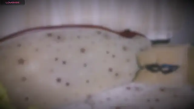 MERA arab online show from 01/19/25, 08:09