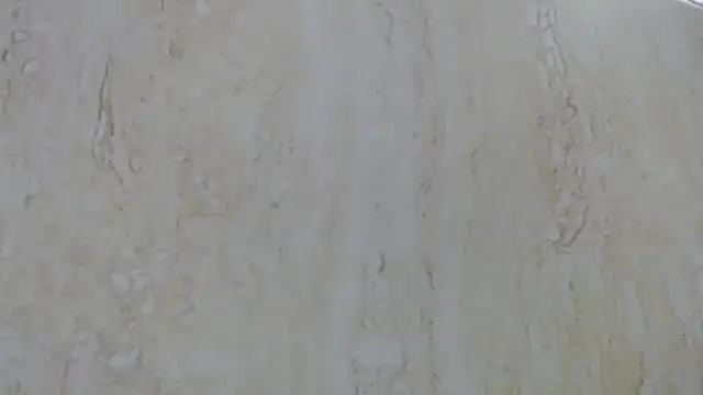 Crazy team  online show from 12/09/24, 09:37