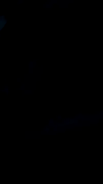 DauergeilMD online show from 01/25/25, 01:43