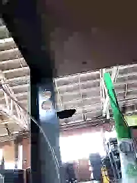 Daddy hook online show from 12/12/24, 06:53