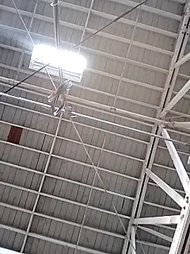 Daddy hook online show from 12/17/24, 03:17