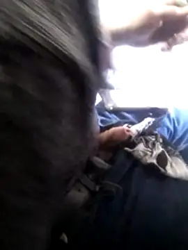 Wero4200 online show from 02/04/26, 10:36