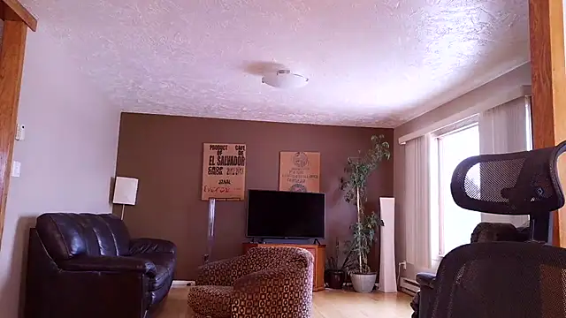 BasicAnt online show from 03/17/26, 01:47