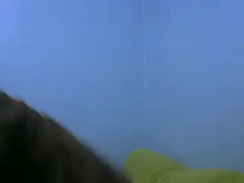 Snapshot of Forsia chatting on 02/06/25, 05:57 Forsia online show from 02/06/25, 05:57