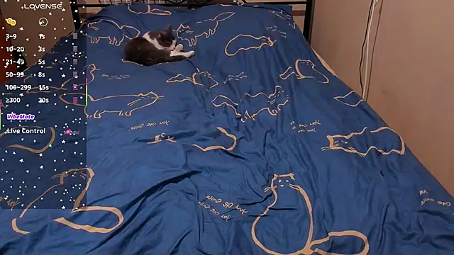 eva zero online show from 02/27/26, 02:28