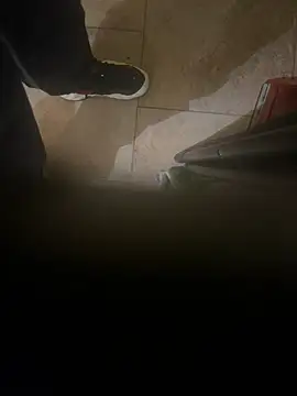 dingoding online show from 01/08/25, 04:44