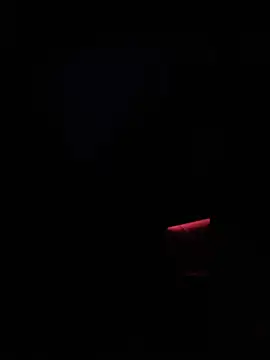 dingoding online show from 01/14/25, 02:50