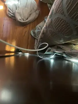 dingoding online show from 04/16/26, 03:02