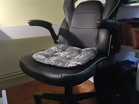 feathersify online show from 02/02/26, 06:34