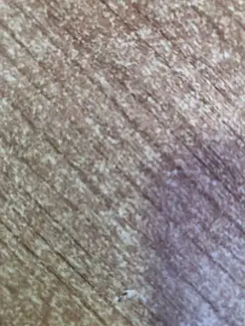 gokhanbey34 online show from 10/26/25, 08:53