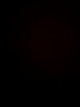 gokhanbey34 online show from 11/26/25, 05:14