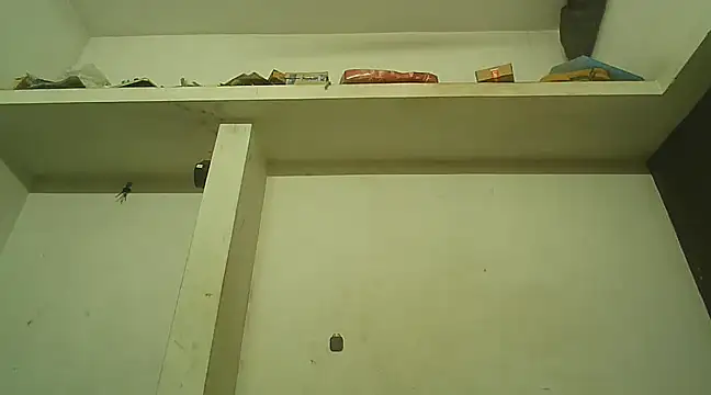 Snapshot of Akhilamolu_the_transsissy chatting on 02/08/25, 05:39 Akhilamolu the transsissy online show from 02/08/25, 05:39