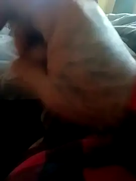 yellowwetfox online show from 11/22/25, 09:58