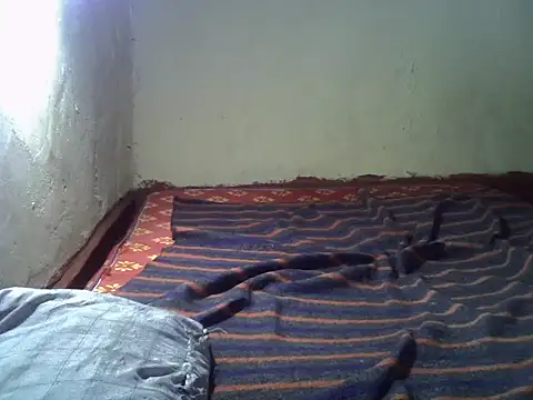 cute-shamza online show from 11/03/25, 05:58