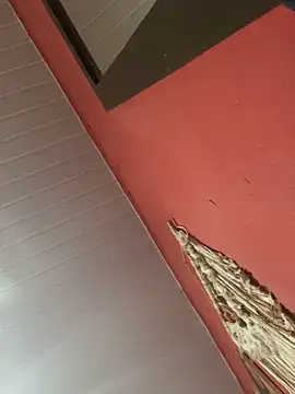 pimenta gaby online show from 11/04/25, 11:09