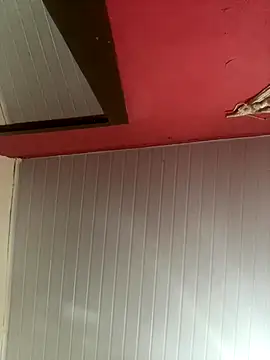 pimenta gaby online show from 11/30/25, 12:20