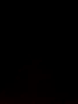 Like african online show from 02/09/26, 04:33