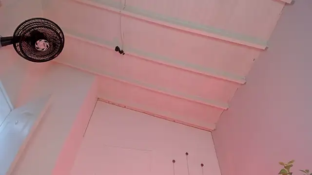 swt-booty online show from 11/19/25, 06:52