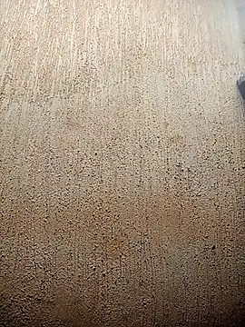 Petite li online show from 02/03/26, 07:02