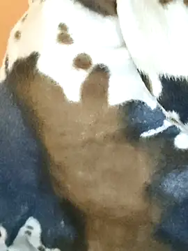 Diya 143 online show from 01/07/26, 05:43