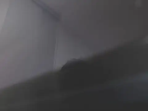 violetasweet11 online show from 02/19/26, 07:04