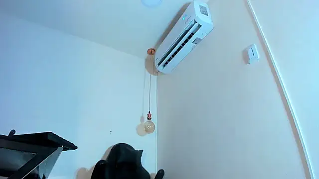 Snapshot of xGenesis_Miller_ chatting on 01/21/25, 11:55 xGenesis Miller  online show from 01/21/25, 11:55