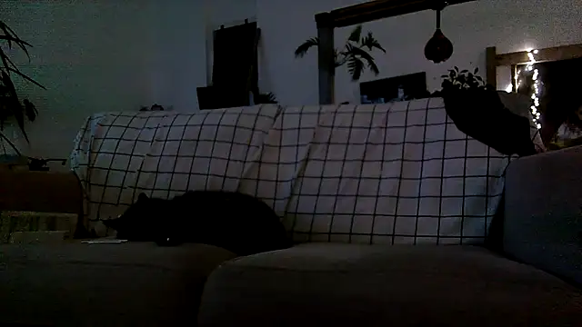 iamsex6969 online show from 04/15/26, 03:57