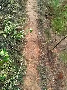 Gopal1243 online show from 12/14/24, 02:01