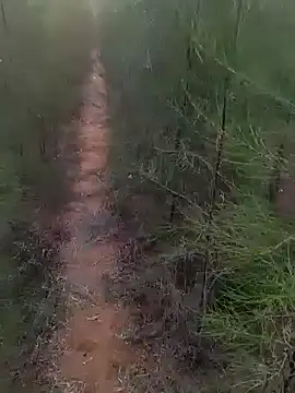 Gopal1243 online show from 03/01/25, 01:22