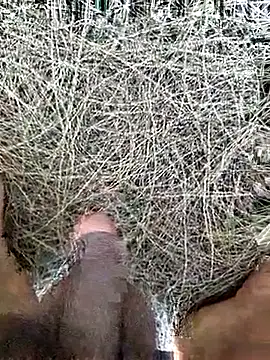 Gopal1243 online show from 02/19/26, 08:10