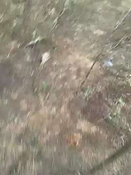 Gopal1243 online show from 03/27/26, 01:11