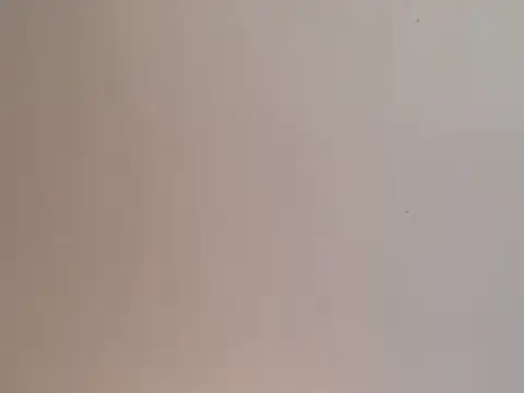 highstepper500 online show from 12/25/24, 02:02